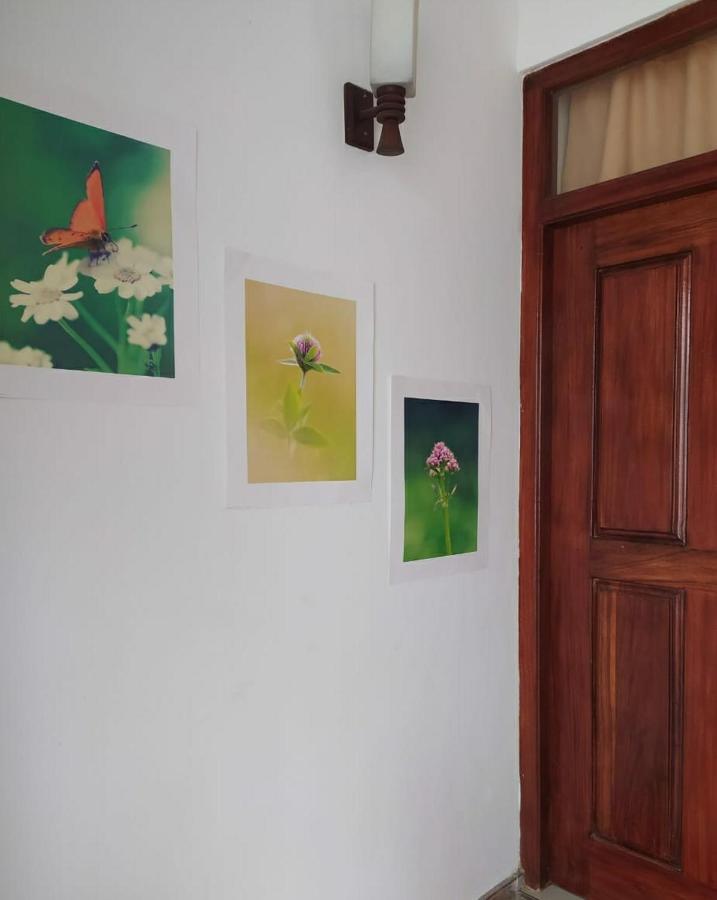 River Side Holiday Inn Weligama Eksteriør billede